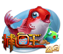 星空足球体育app豪华版